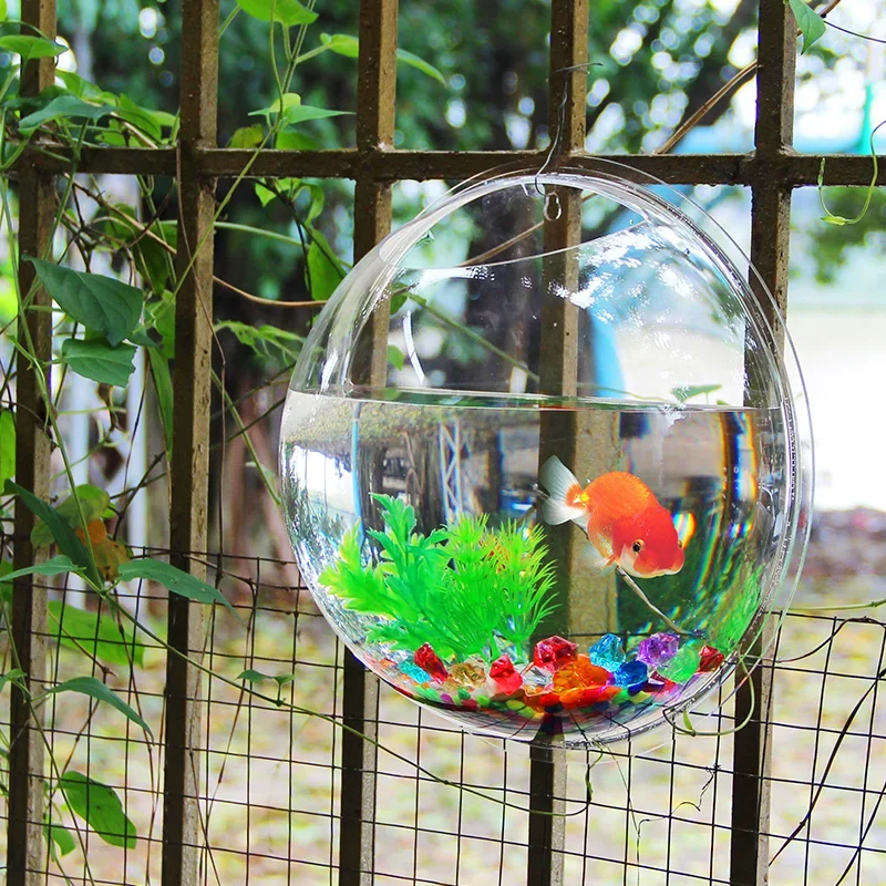 Akrylowe akwarium w kształcie  – Betta Fish Tank recenzja i cena