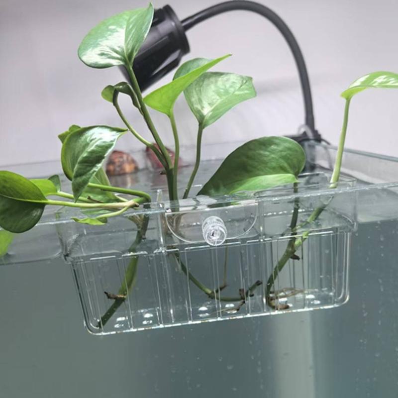 Hydroponiczny koszyk na roślin – Aquarium Fish Tank recenzja i cena