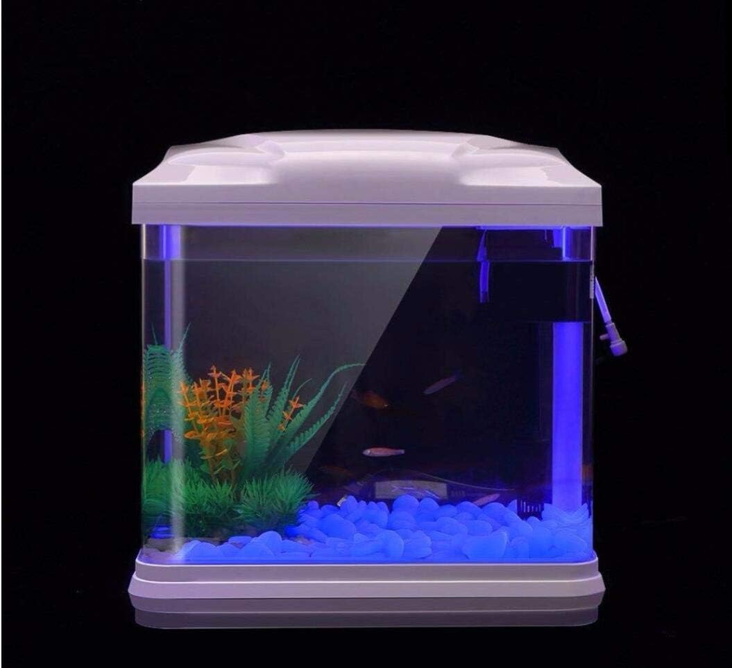 Fish Tank Rocks Glow Blue Pebb – Aquarium Plants recenzja i cena