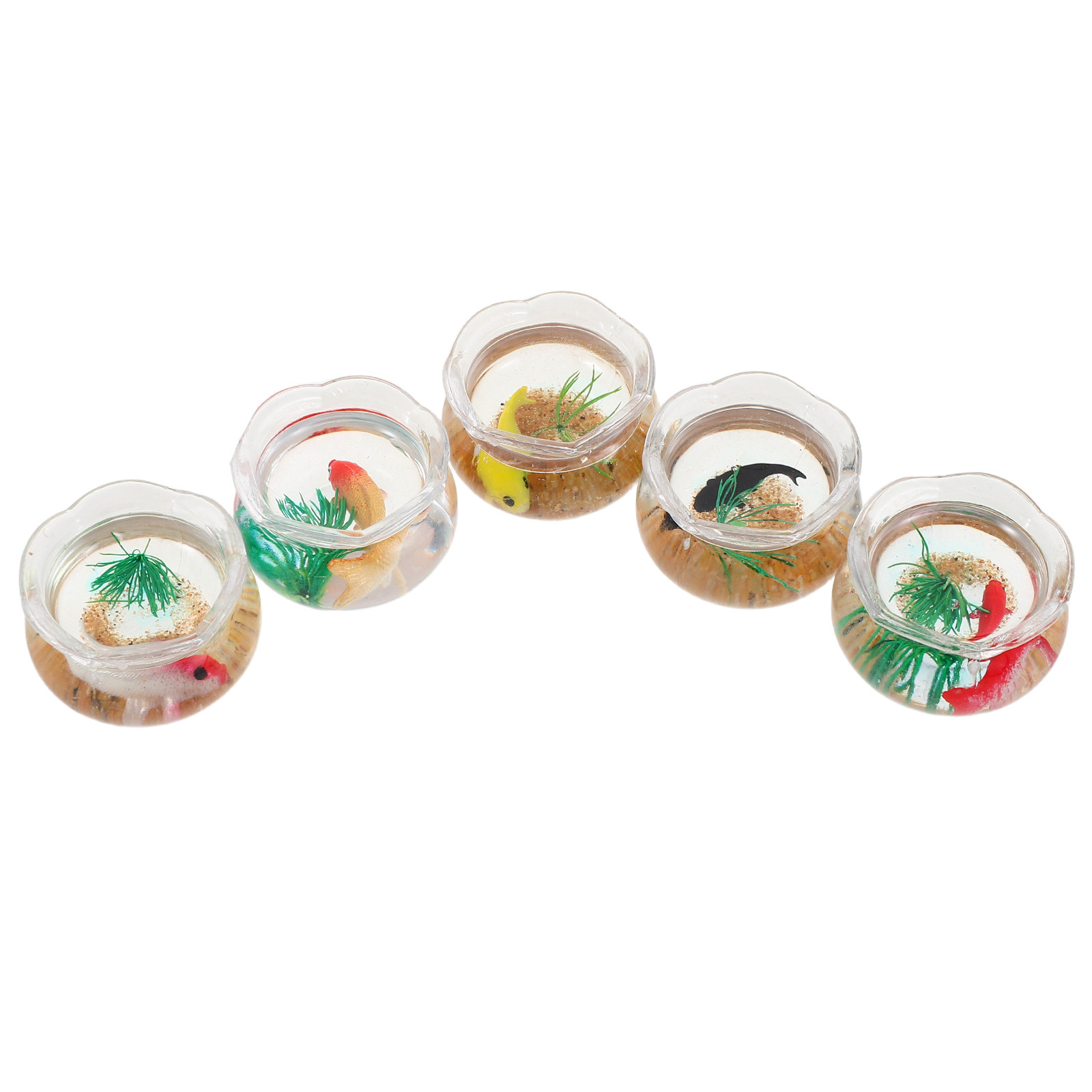 5 sztuk miniaturowych akwariów – Aquarium Plants recenzja i cena
