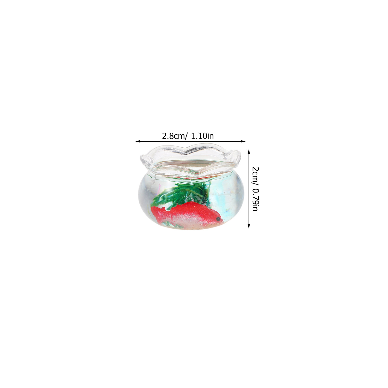 5 sztuk miniaturowych akwariów – Aquarium Plants recenzja i cena